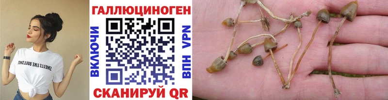 kraken зеркало  купить наркоту  Починок  Галлюциногенные грибы мухоморы 
